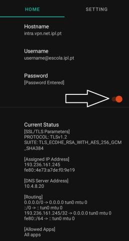 Ligar VPN